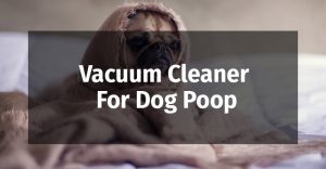 Vacuum Cleaner For Dog Poop